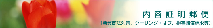 内容証明郵便(悪質商法対策,クーリング・オフ,損害賠償請求等)